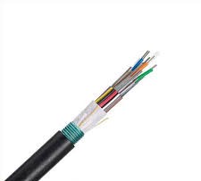 Fiber Cable FLWN51A